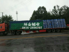 環(huán)衛(wèi)掛車垃圾桶廠家 助推龍門鄉(xiāng)鎮(zhèn)清潔環(huán)保